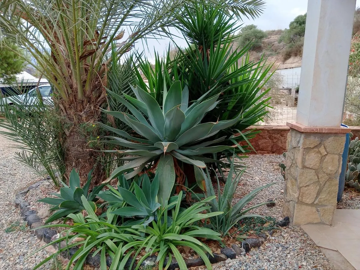 Gospodarstwo wiejskie Cortijo Rural Molino El Tarahal Con Piscina Y Zonas Compartidas