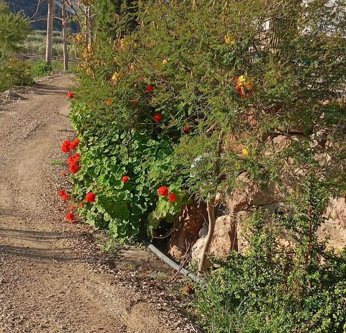 Cortijo Rural Molino El Tarahal Con Piscina Y Zonas Compartidas